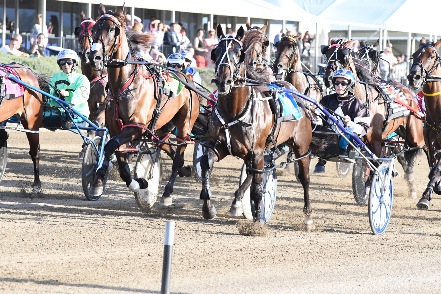 Events Archive Club Menangle