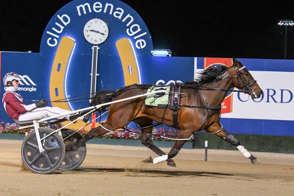 Exciting changes to Queen Elizabeth II feature in 2024 Club Menangle